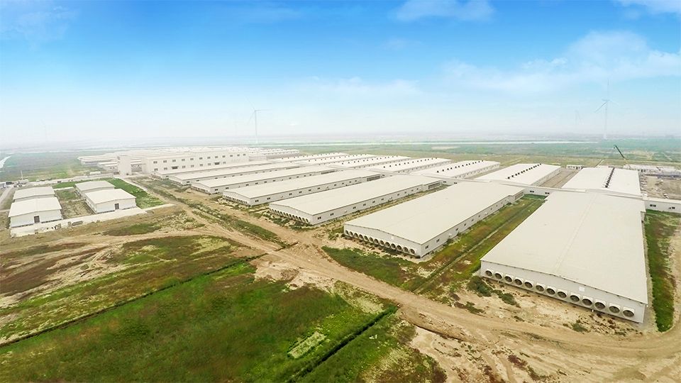 proyecto llave en mano gallinero