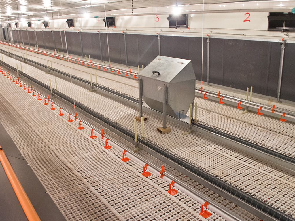breeder chicken floor system