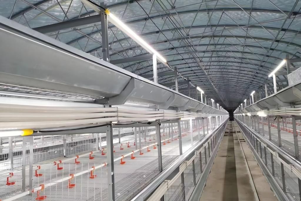 poultry house lighting system