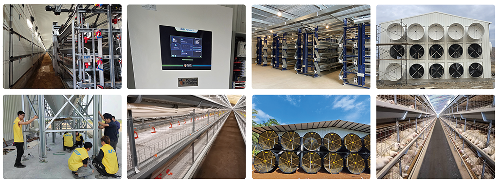 chicken cage poultry farm