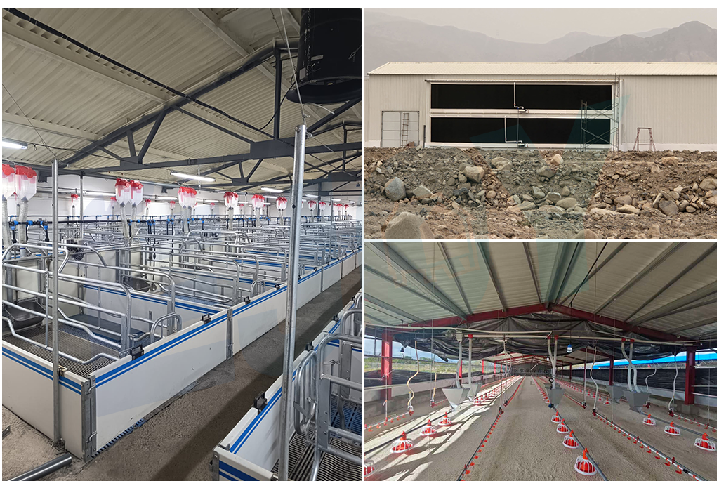 South America pig and poultry farm equipment