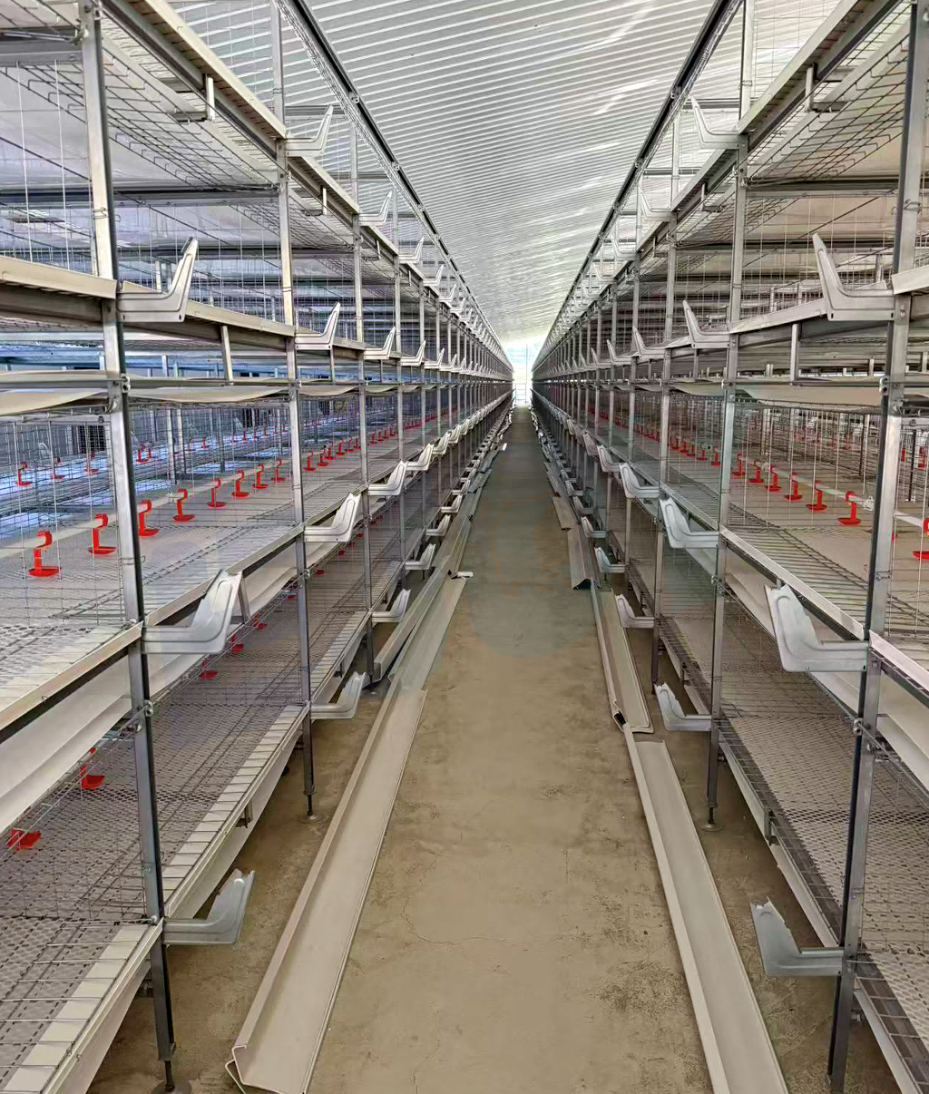 broiler cage system